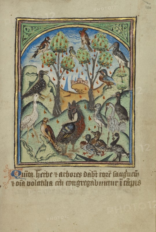 The Fifth Sign before the Day of Judgement; Norfolk perhaps, written, East Anglia, England; illumination about 1190; written