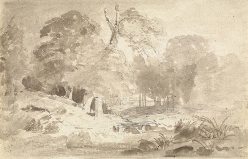Rural Landscape in the Mark Brandenburg; Carl Blechen, German, 1798 - 1840, Germany; about 1831 - 1838; Brown ink over graphite
