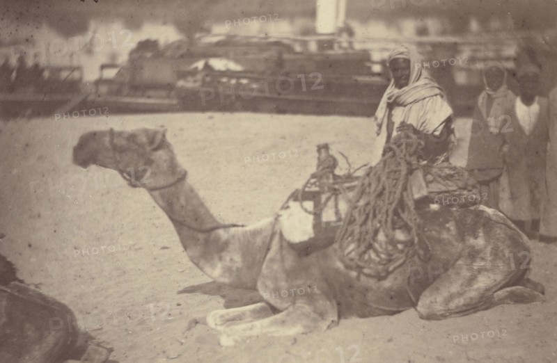 Camel with Native Men on the Bank of the Nile; Théodule Devéria, French, 1831 - 1871, France; 1865; Albumen silver print