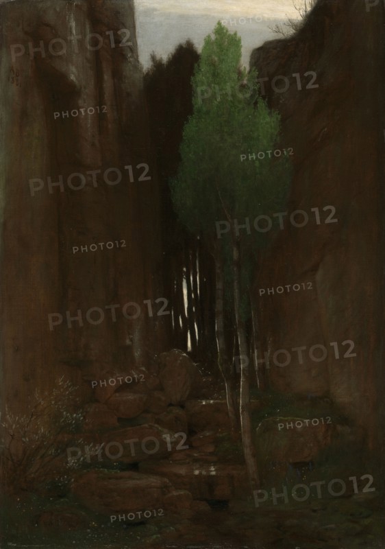 Spring in a Narrow Gorge, Quell in einer Felsschlucht, Arnold Böcklin, German, born Switzerland, 1827 - 1901, Italy; 1881