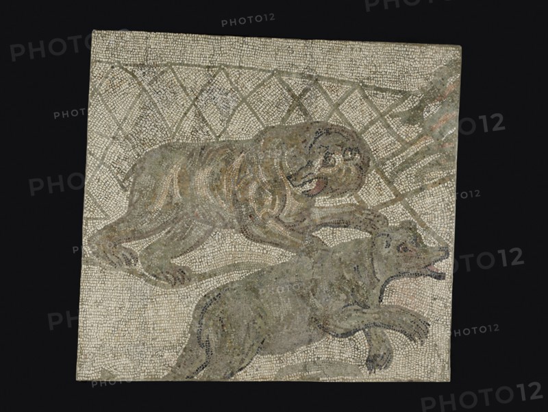 Mosaic Floor Panel; 4th century A.D; Stone tesserae; 155.6 × 171.5 × 11.4 cm, 61 1,4 × 67 1,2 × 4 1,2 in