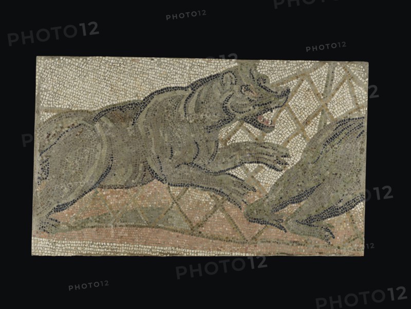 Mosaic Floor Panel; 4th century A.D; Stone tesserae; 87.6 × 149.2 × 10.2 cm, 34 1,2 × 58 3,4 × 4 in