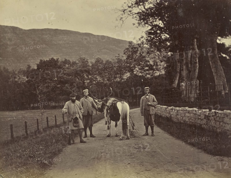 Lord Middleton. Stuart. Murdoch; Ronald Ruthven Leslie-Melville, Scottish,1835 - 1906, Scotland; 1860s; Albumen silver print