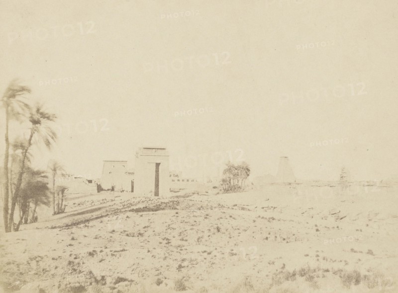Temple and Palms, View of the Ruins, Karnak; John Beasly Greene, American, born France, 1832 - 1856, negative: Egypt; 1854