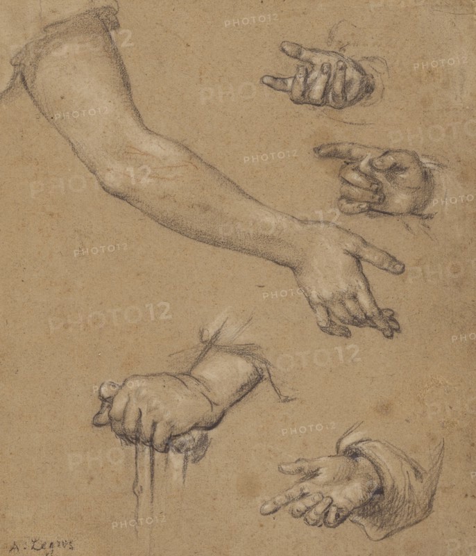 Studies of Hands; Alphonse Legros, British, born France, 1837 - 1911, France; n.d; Black and white chalk with touches of red