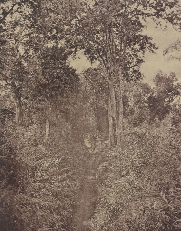 No. 120. Rangoon. Tiger Alley; Capt. Linnaeus Tripe, English, 1822 - 1902, Kolkata, India; 1855; Albumenized salted paper print