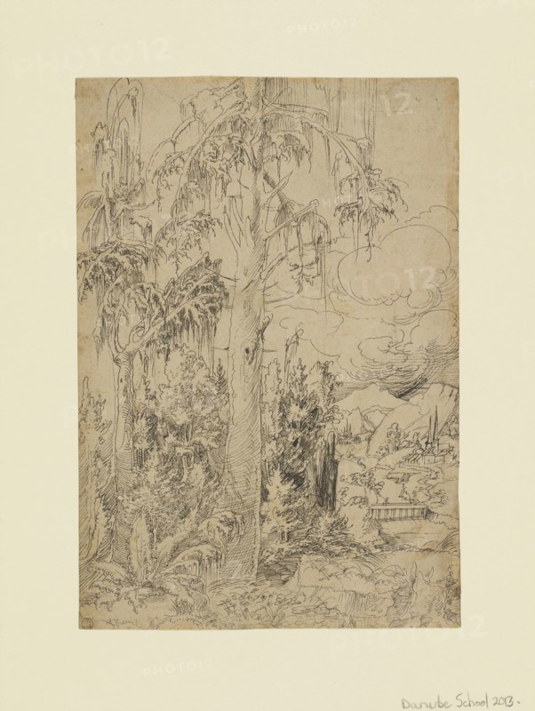 A Wooded Landscape with a Town beyond a Bridge and Distant Mountains; Danube School, active 1500 - 1525; Germany; about 1515