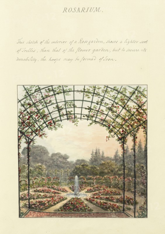 Rosarium, Humphry Repton architecture and landscape designs, 1807-1813, Report concerning the gardens at Ashridge, respectfully
