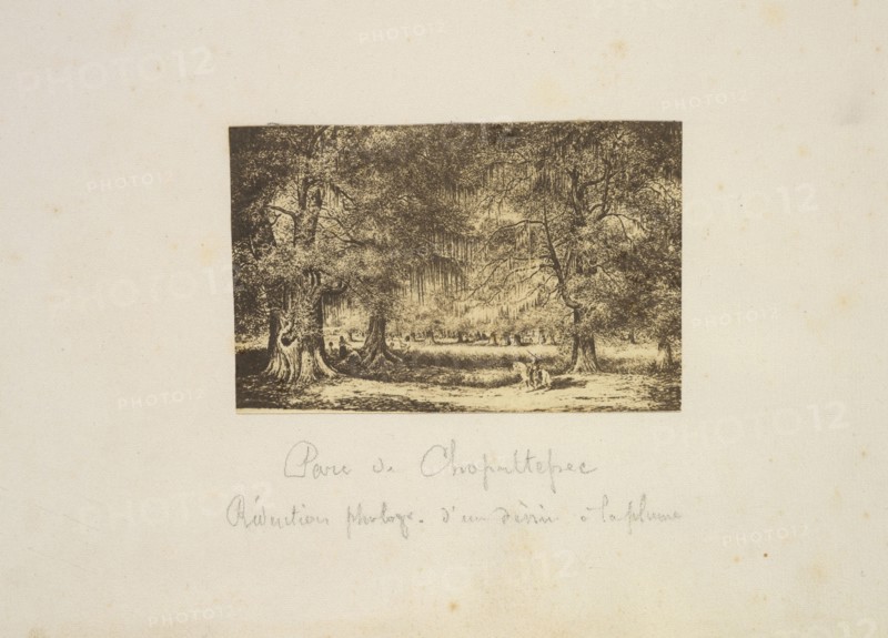 Parc du Chapultepec, Mexico album, Petitjean, André-Toussaint, cliche-verre, ca. 1864-1866, Parc du Chapultepec. Rédaction