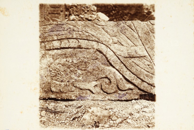 Fish relief, Platform of Venus, Chichén Itzá, Views of Maya ruins in the Yucatan, Le Plongeon, Augustus, 1826-1908, Collodion