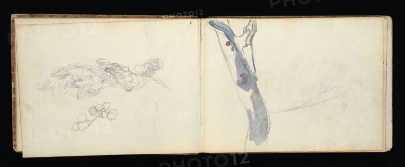 Sketchbook with manuscript notes Félix Bracquemond, Bracquemond, Félix, 1833-1914, pencil, pen, ink, and watercolor, ca. 1868