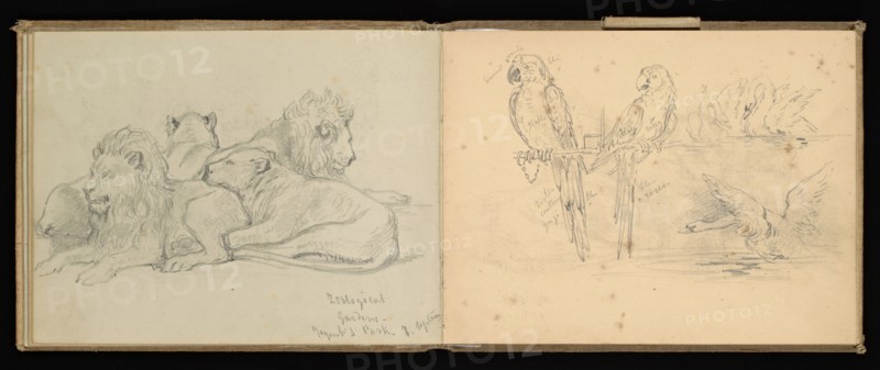 Sketchbook, Preziosi, Amadeo, 1816-1882, pencil, gray wash, white heightening, 1875, The sketchbook by Maltese artist Preziosi