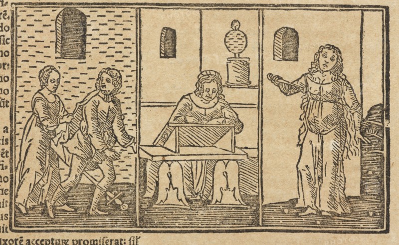 Phaedra to Hippolyto, Habes, candide lector, Pvb. Ovidii Nasonis Heroides: collatis quampluribus tam ueteribus q, uam
