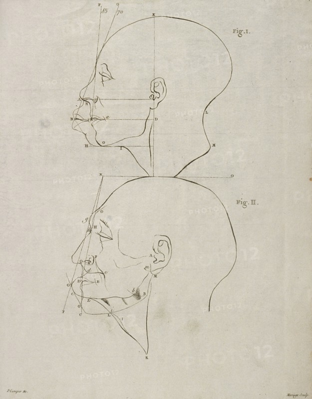 Tab. VI, Dissertation sur les variétés naturelles qui caractérisent la physionomie des hommes des divers climats