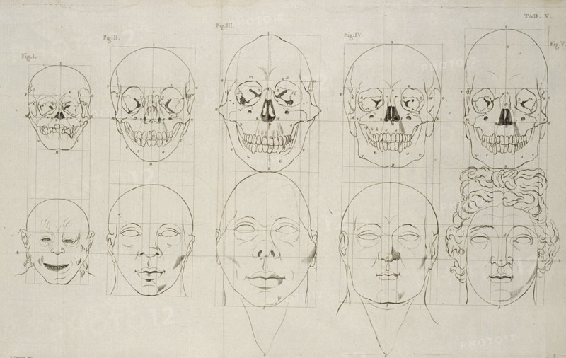 Tab. V, Dissertation sur les variétés naturelles qui caractérisent la physionomie des hommes des divers climats