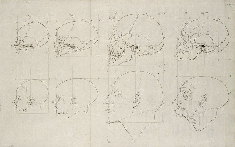 Tab. IV, Dissertation sur les variétés naturelles qui caractérisent la physionomie des hommes des divers climats