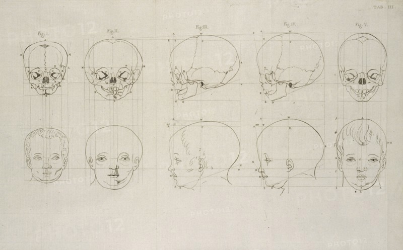 Tab. III, Dissertation sur les variétés naturelles qui caractérisent la physionomie des hommes des divers climats