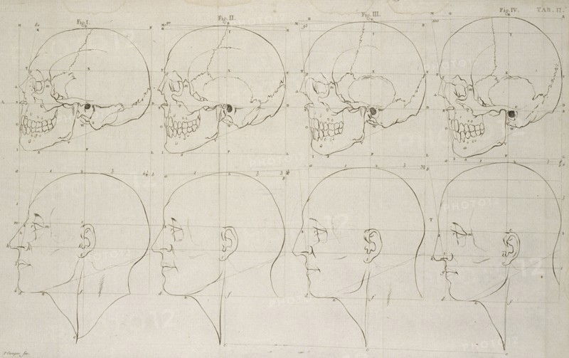 Tab. II, Dissertation sur les variétés naturelles qui caractérisent la physionomie des hommes des divers climats