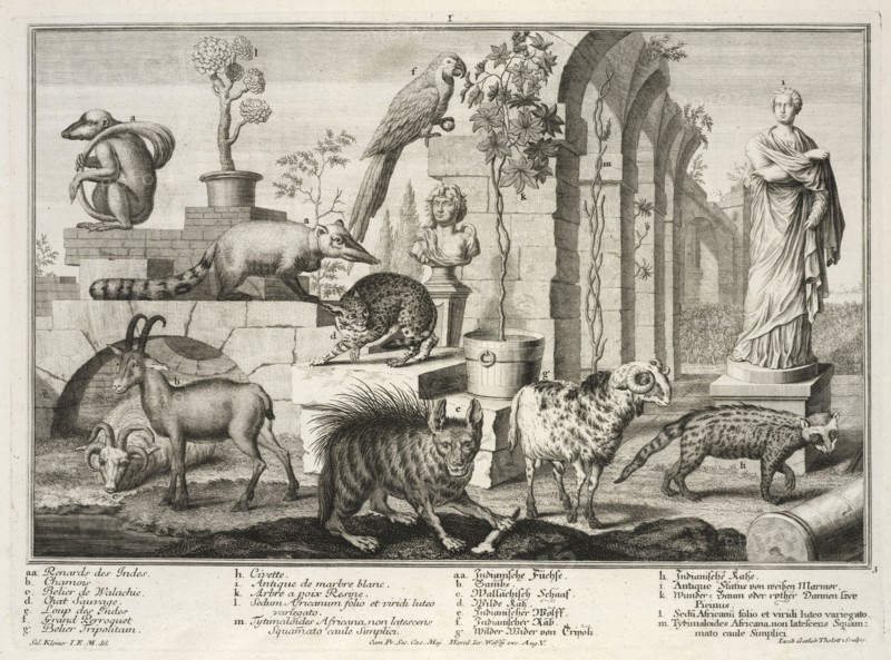 Small Herculaneum woman set in garden with exotic animals, Representation des animaux de la menagerie de S.A.S. Monseigneur