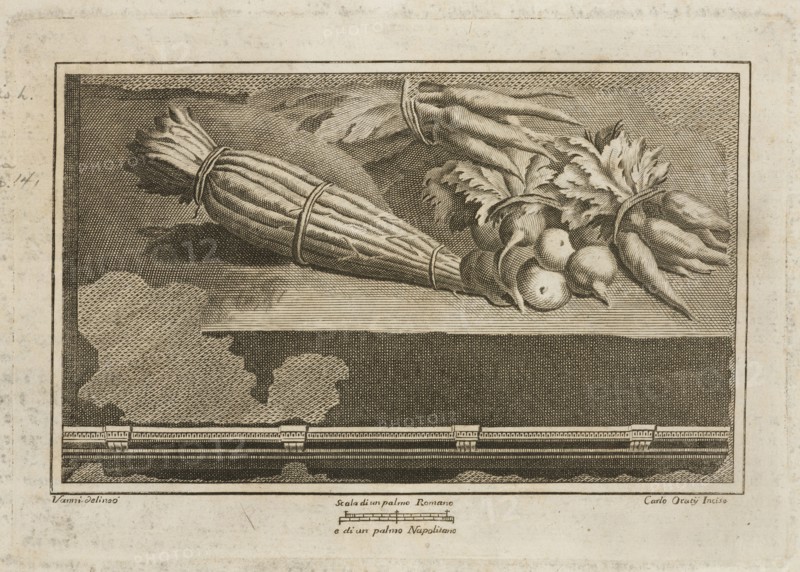 Tavola VIII. 52, Delle antichità di Ercolano, Baiardi, Ottavio Antonio, 1694-1764, Engraving, c. 1757-1792, Plate 8