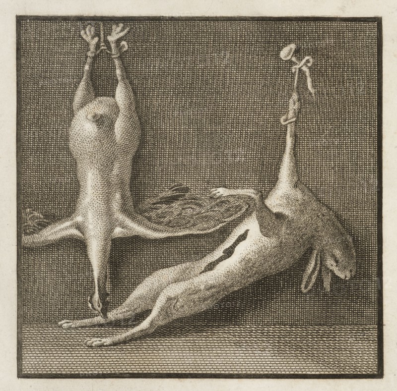 Plate 57, detail of top left, Delle antichità di Ercolano, Baiardi, Ottavio Antonio, 1694-1764, Engraving, c. 1757-1792