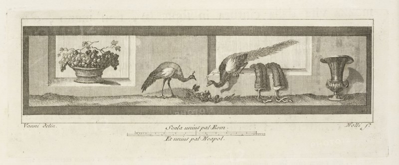 Tavola XIX, Delle antichità di Ercolano, Baiardi, Ottavio Antonio, 1694-1764, Engraving, 1757-1792, Plate 19