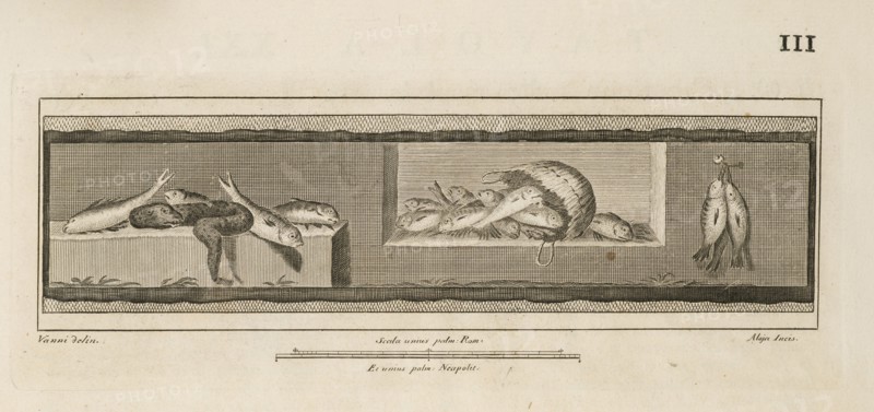 Tavola XXI, Delle antichità di Ercolano, Engraving, 1757-1792, Plate 21, located on page 111. Inscribed at lower left, Vanni