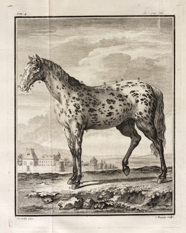 Histoire naturelle, générale et particulière: avec la description du cabinet de roi, Histoire naturelle, générale