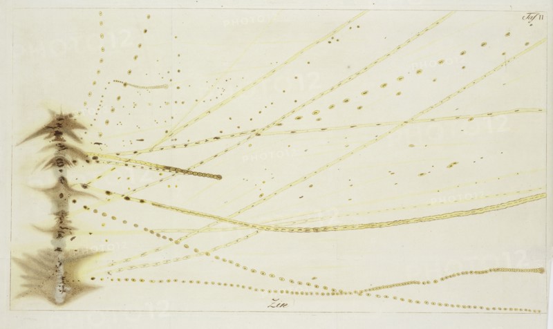 Plate 2: Tin, Beschreibung einer ungemein grossen Elektrisier-Maschine und der damit im Teylerschen Museum zu Haarlem