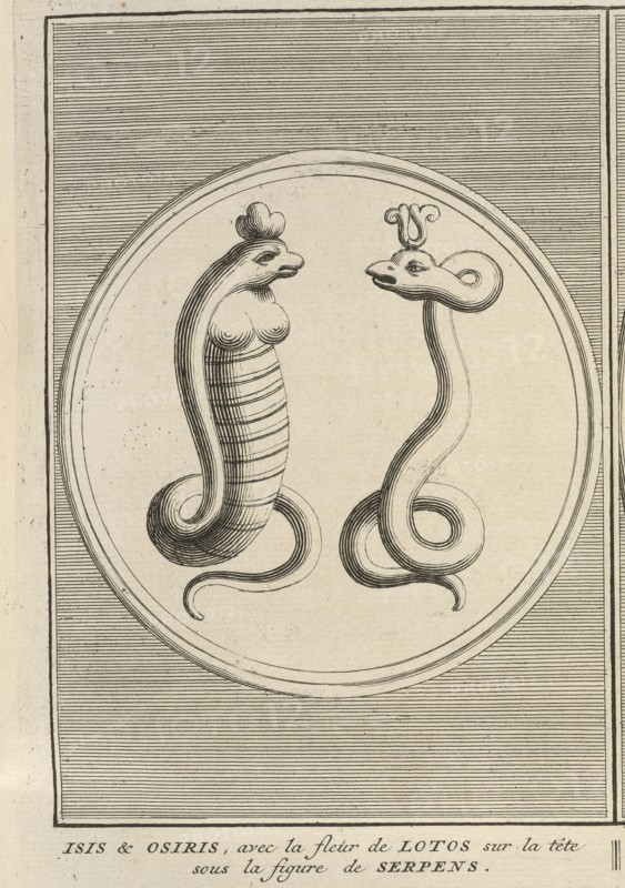 Isis and Osiris in the Likeness of Snakes, with Heads Crowned by Lotus Flowers, Ceremonies et coutumes religieuses de tous les