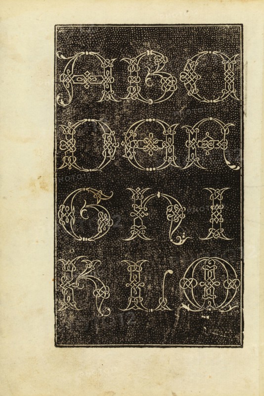 La operina di Ludouico Vicentino, da imparare di scriuere littera cancellarescha. Arrighi, Ludovico degli, Woodblock, 1522-1523