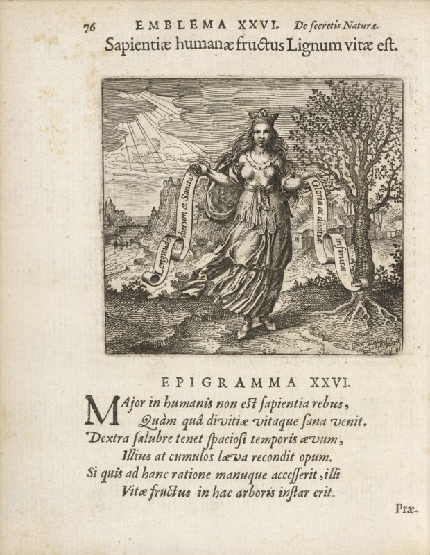 Emblema XXVI: Sapientiae humanae fructus Lignum vitae est. Michaelis Majeri, Secretioris naturae secretorum scrutinium chymicum