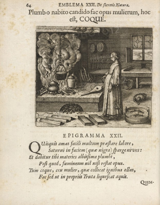 Emblema XXII: Plumb o nabito candido fac opus mulierum, hoc est, COQUE. Michaelis Majeri, Secretioris naturae secretorum