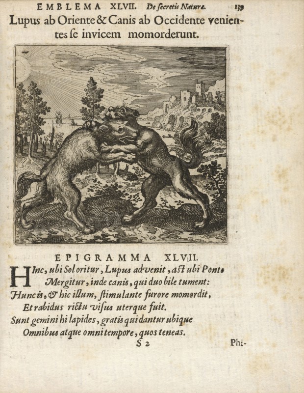 Emblema XLVII: Lupus ab Oriente and Canis ab Occidente venientes se invicem momorderunt. Michaelis Majeri, Secretioris naturae