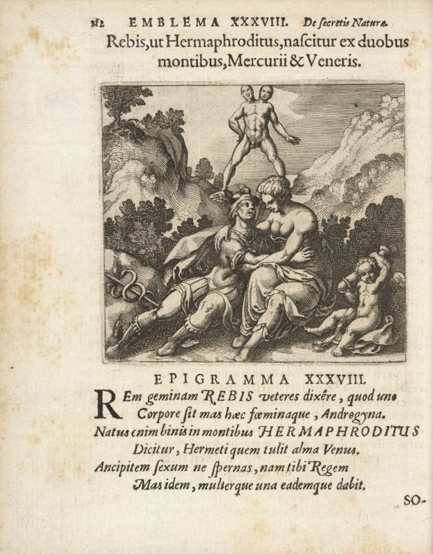 Emblema XXXVIII: Rebis, ut Hermaphroditus, nascitur ex duobus montibus, Mercurii and Veneris. Michaelis Majeri, Secretioris