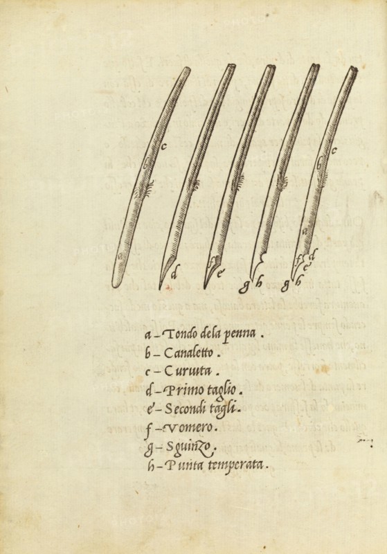 La operina di Ludouico Vicentino, da imparare di scriuere littera cancellarescha. Arrighi, Ludovico degli, Woodblock, 1522-1523