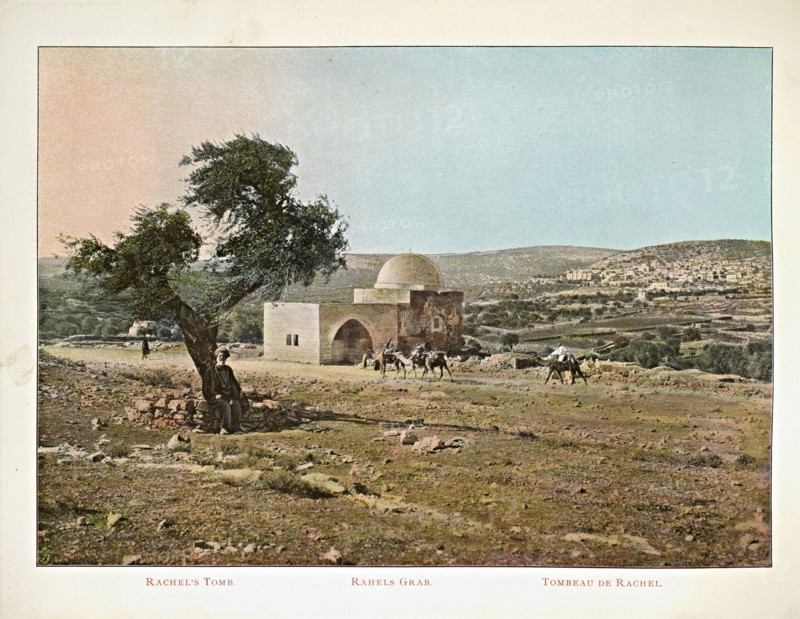 Album: flowers and pictures of the Holy Land, Boulos Meo, 1890s
