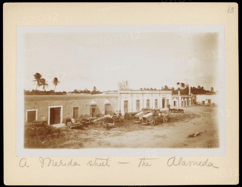 A Merida street - the Alameda, Augustus and Alice Dixon Le Plongeon papers, 1763-1937, bulk 1860-1910, Le Plongeon, Augustus