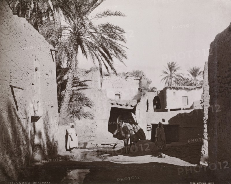 Views of Algeria, Le Roux, A., albumen, ca. 1880, views of urban and provincial Algerian sites including: Algiers, Bône