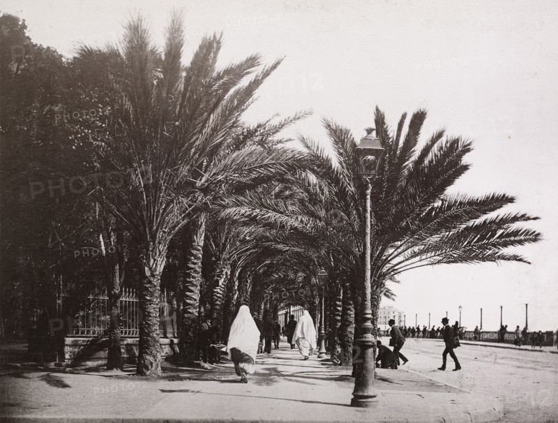 Views of Algeria, Le Roux, A., albumen, ca. 1880, views of urban and provincial Algerian sites including: Algiers, Bône