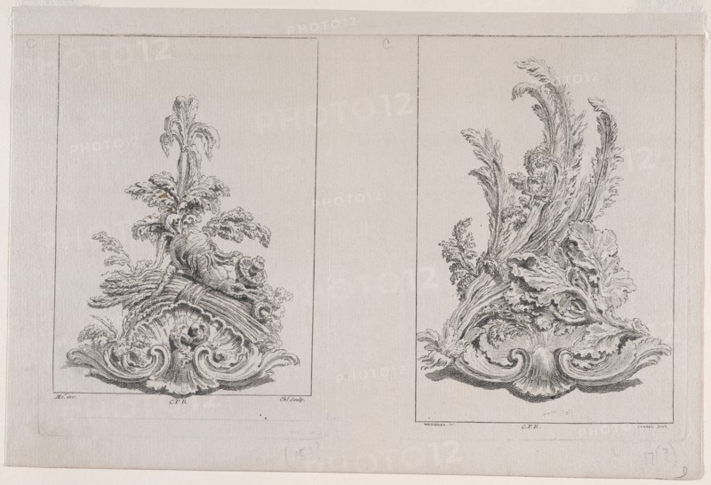 Plates C15 and C17 from the Livre de légumes inventées et dessinées par J. Me.r, Chedel, Pierre Quentin, 1705-1763, Huquier