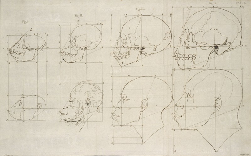Tab. I, Dissertation sur les variétés naturelles qui caractérisent la physionomie des hommes des divers climats et des différens