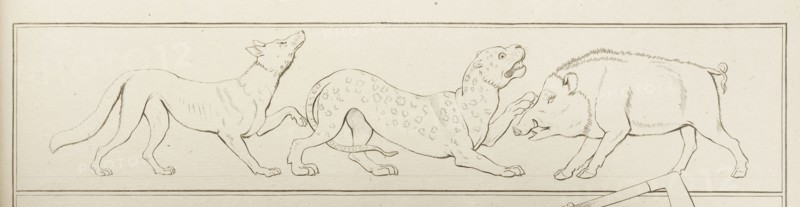 Plate 31. Collection of engravings from ancient vases mostly of pure Greek workmanship discovered in sepulchres in the kingdom