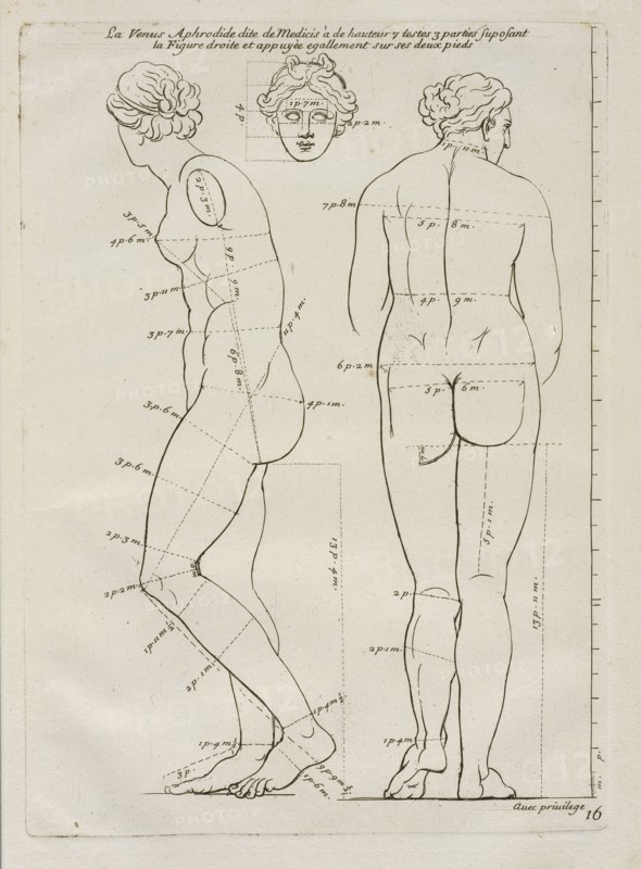La Venus Aphrodide, Les proportions du corps humain: mesurées sur les plus belles figures de l'antiquité, Audran, Gérard, 1640