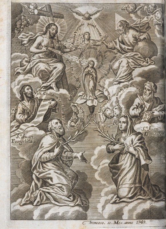 Opusculum theophilosophicum de principata, seu antelatione marianae gratiae, Opusculum theophilosophicum de principata