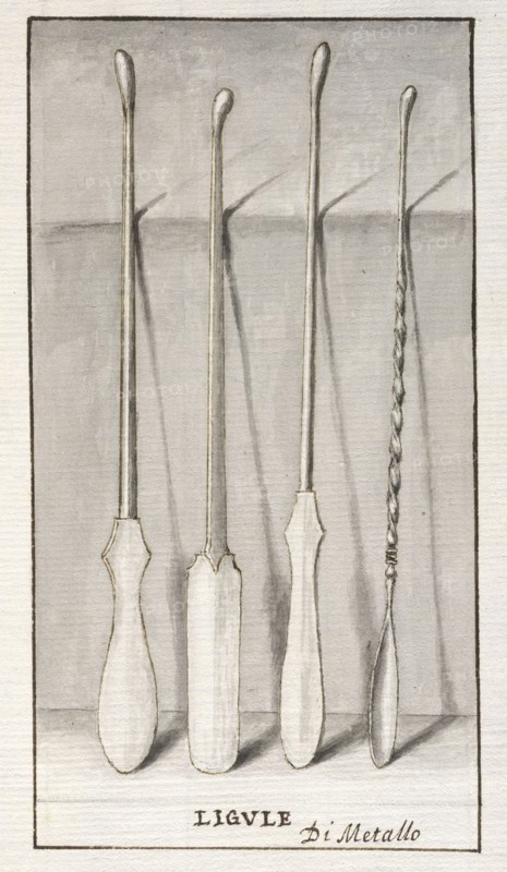 Ligvle di metallo, Museo Vittoriano overo raccolta di varj monumenti antichi esistenti nello studio di D. Ferdinando Vittoria