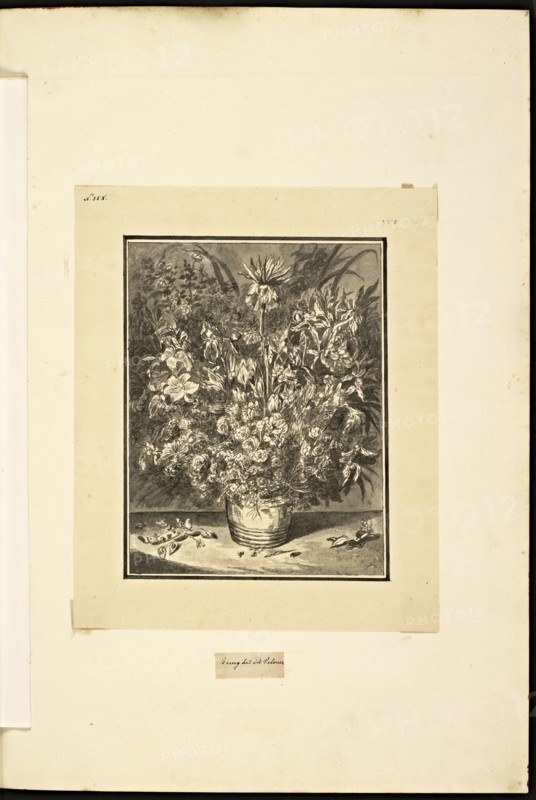 Catalogue raisonne et figure de ses tableaux, La Galerie Électorale de Düsseldorf, Pigage, Nicolas de, 1723-1796, Red crayon