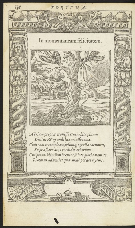 In momentaneam felicitatem, Emblemata, Alciati, Andrea, 1492-1550, Unknown, Woodcut, 1551