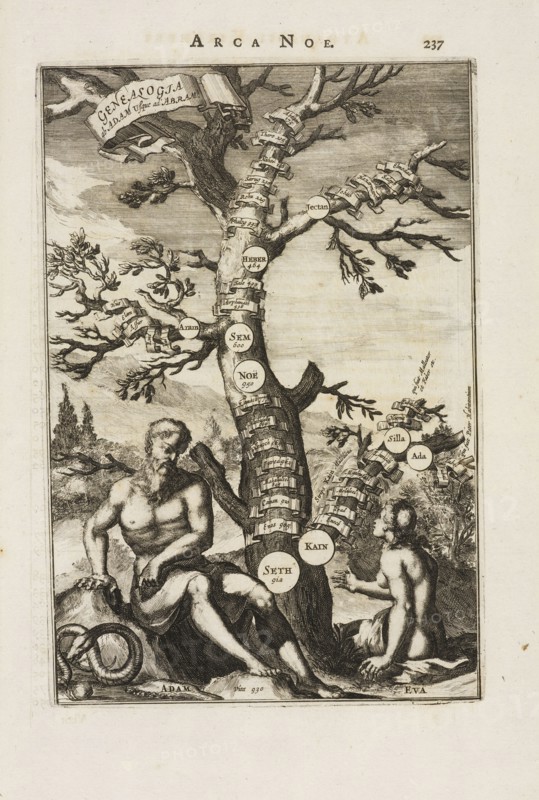 Genealogia ab Adam usque ad Abram, Athanasii Kircheri è Soc. Jesu Arca Noë, in tres libros digesta: quorum I, De rebus quae ante