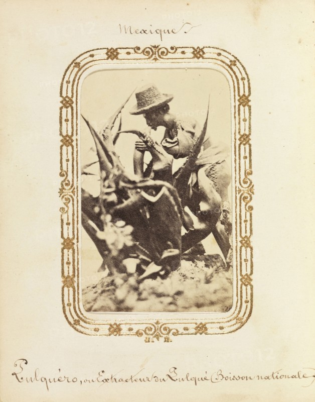 Album of Mexican and French cartes-de-visite, between 1861-1880